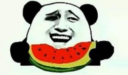 娱乐吃瓜酱的背景故事,揭秘娱乐圈幕后那些事儿