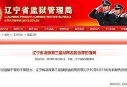 辽宁最新爆料消息视频,视频揭秘惊人内幕