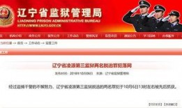 辽宁最新爆料消息视频,视频揭秘惊人内幕