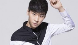 娱乐爆料王博文,揭秘王博文背后的故事与精彩瞬间