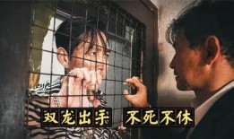 双龙出手在线观看,巅峰对决，传奇再续