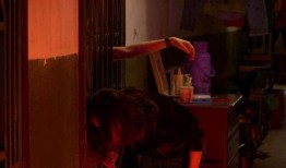 在线观看隐蔽角落,揭秘家庭阴影下的悬疑世界