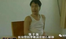 张子强自己爆料视频,揭秘黑帮大佬的犯罪生涯