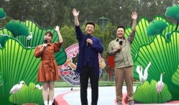 武汉飞行员爆料视频最新,揭秘飞行安全疑云与内部真相