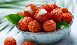 娱乐吃瓜酱荔枝,揭秘娱乐圈那些不为人知的幕后故事