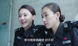 警花在线观看,揭秘英勇女警的智慧与勇气
