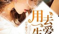 用一生去爱你在线观看,跨越时光的浪漫誓言