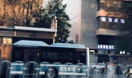 乌市沙区最新爆料,揭秘神秘事件背后的真相