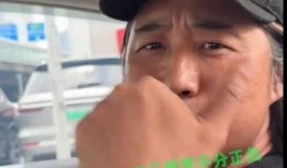 镇平虎哥爆料事件视频,揭秘背后真相与争议