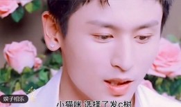 杨子侄女爆料视频大全,揭秘娱乐圈背后的真相