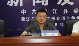 盈江新闻爆料事件最新情况,真相逐步浮出水面