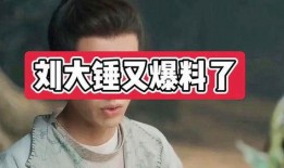 刘大锤周四爆料视频,揭秘娱乐圈惊人内幕