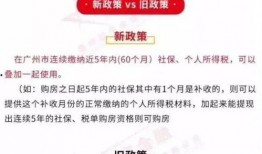 广州东莞爆料新闻事件,惊现重大事件引发社会关注